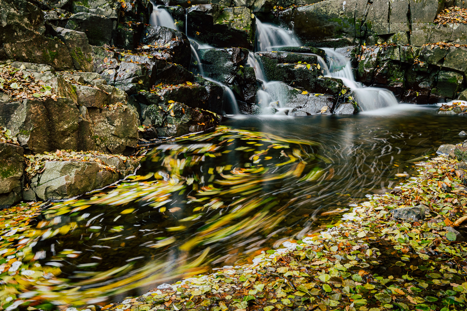 Vászonkép rendelés