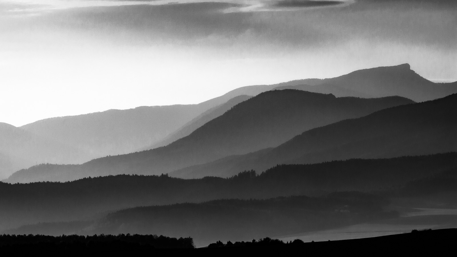 Vászonkép rendelés