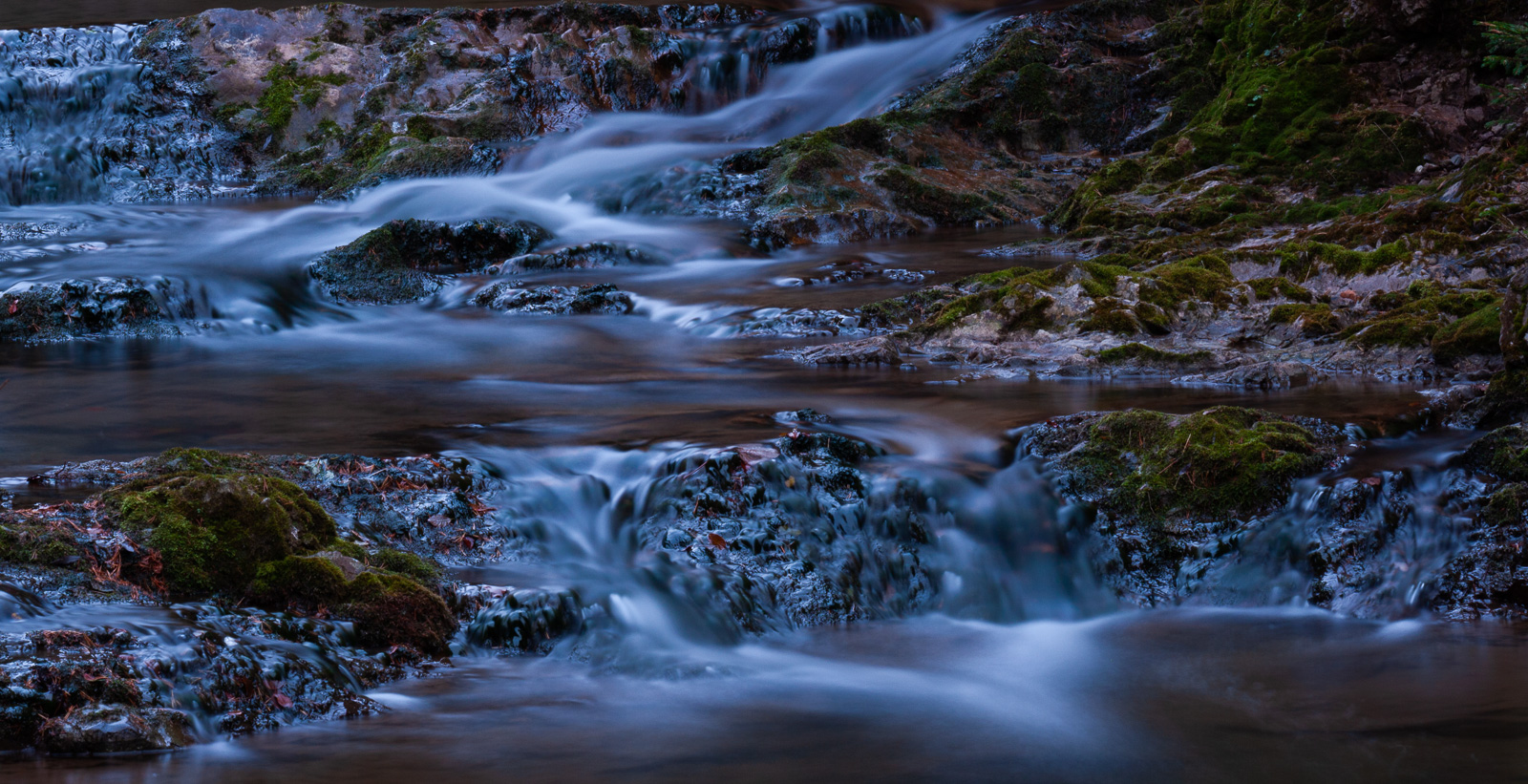 Vászonkép rendelés